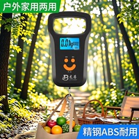 高精度手提电子秤便携式小称弹簧秤迷你买菜挂钩称50kg快递行李秤