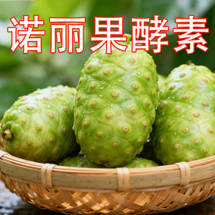 诺丽果酵素酵素原液 无糖酵素 综合水果酵素 非环保酵素日本台湾