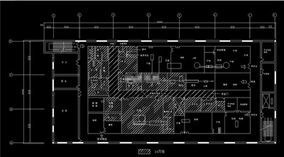 口服液生产车间设计平面布局图CAD图纸 总图 流程图 等
