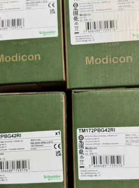 TM172PBG28RI      议价