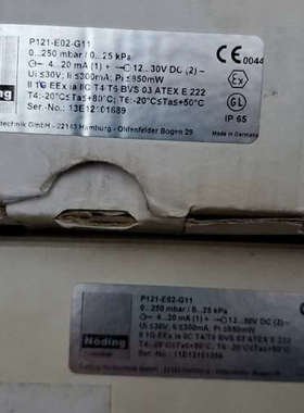 Noding P121-E02-G11 0-250mbar系议价