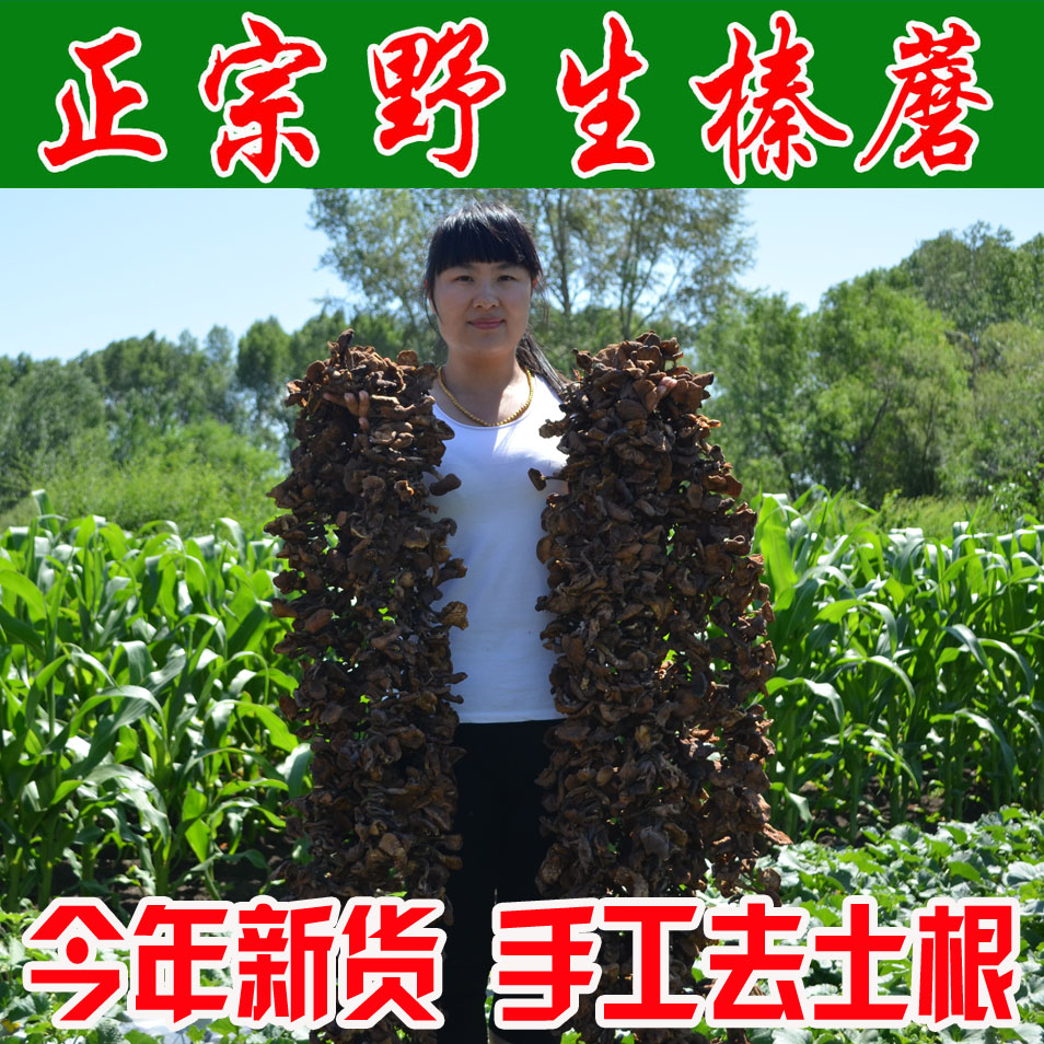 新货特产东北野生榛蘑菇包邮山货小鸡炖榛蘑食用菌干货香菇类