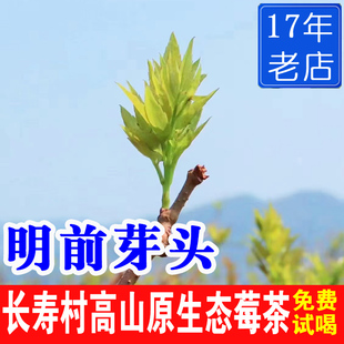 张家界长寿村产芽尖莓茶野生龙须藤茶湖南永顺土家霉茶官方旗舰店