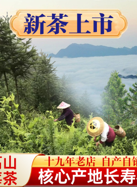 张家界明前芽头莓茶朵芽特级芽尖霉茶永顺野生龙须藤茶林露旗舰店