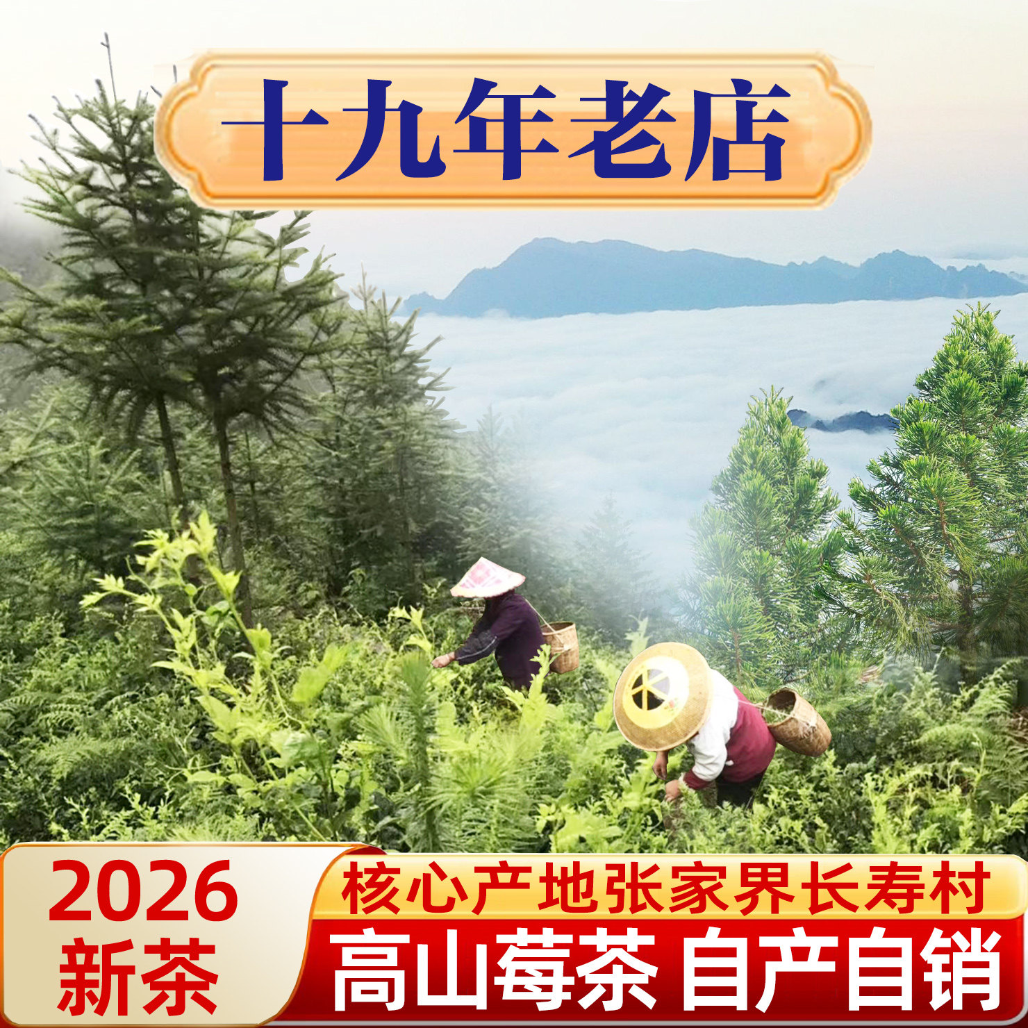 张家界特级芽尖莓茶朵芽明前芽头霉茶永顺野生龙须藤茶林露旗舰店