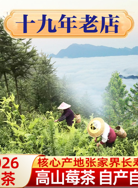 张家界特级芽尖莓茶朵芽明前芽头霉茶永顺野生龙须藤茶林露旗舰店