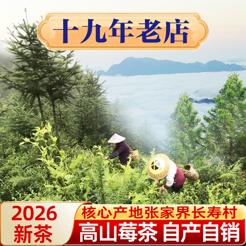 张家界特级芽尖莓茶朵芽明前芽头霉茶永顺野生龙须藤茶林露旗舰店