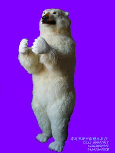 店铺营销中心舞台活动摆件 影视道具 1：1规格 仿真北极熊标本