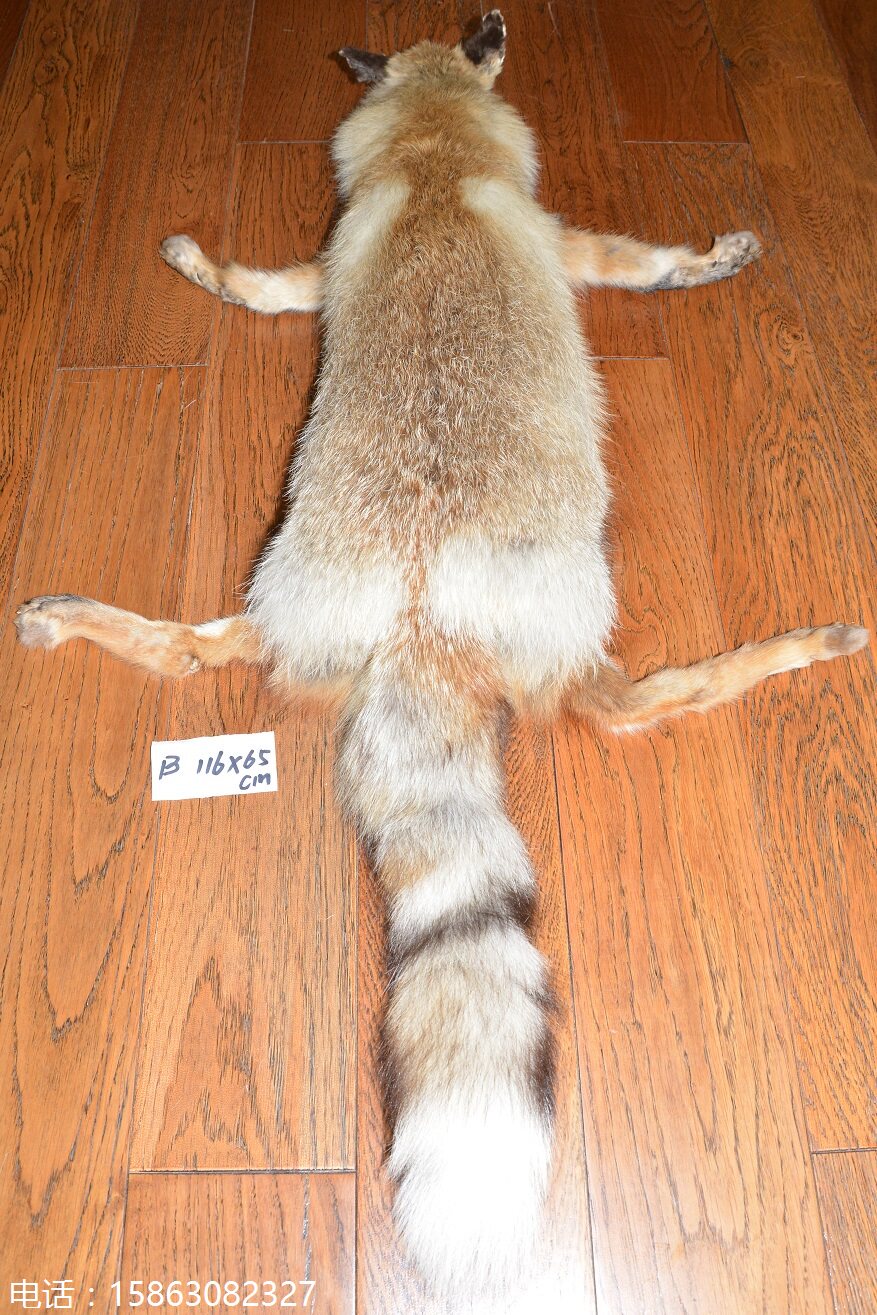 整只狐狸皮毛围脖B 整张皮草毛领 围巾披肩 特大真皮毛一体红狐狸