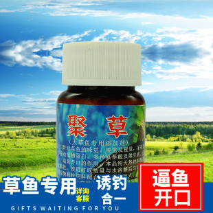 草鱼专用  鱼机子 聚草 1号 2号 高浓缩果香促食剂 青鱼黑鲩鳊鱼