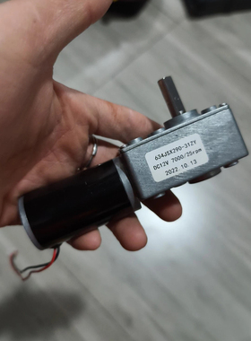 634JSX290-31ZY DC12V25RPM电机