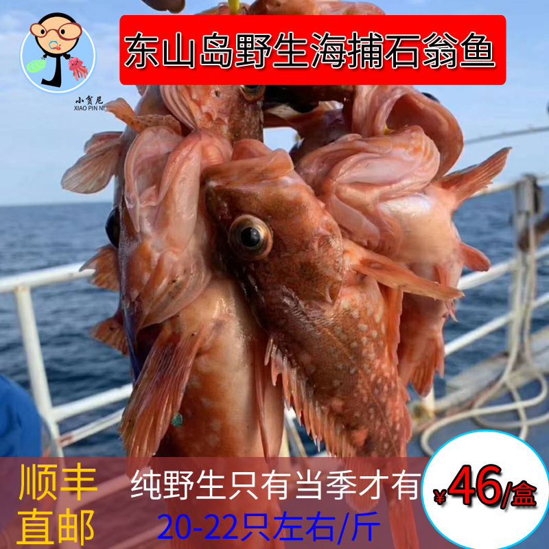 东山岛野生手钓石翁鱼石斑鱼石九公丁公鱼250克约10-12条在类目 水产肉类/新鲜蔬果/熟食, 海鲜/水产品/制品, 海鲜鱼类, 斑鱼中 - 来自Buy2taobao.com提供专业的淘宝代购服务
