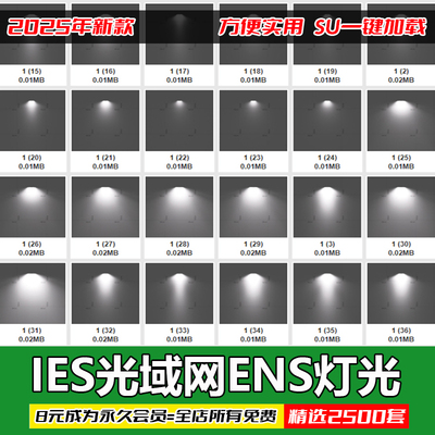 Enscape写实灯光IES光域网草图大师SU室内外设计灯光素材模型库