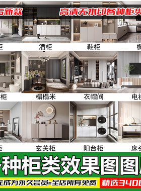家装柜子定制效果图图库