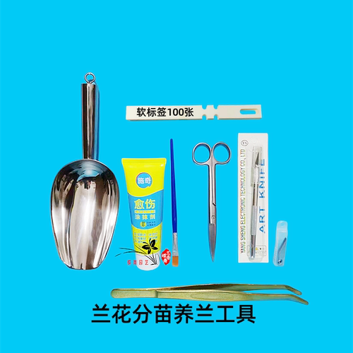 兰花分苗工具兰花分苗专用剪刀