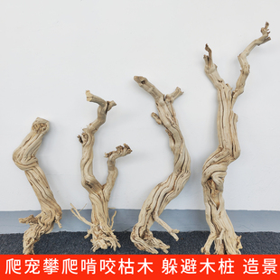 热带雨林鱼缸爬宠箱造景攀爬啃咬躲避木天然枯木树根树桩木桩造型