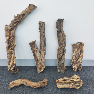 爬宠攀爬木爬虫饲养箱造景木头木屑躲避树枝树根树干枯木木桩木棍