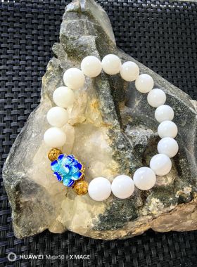 天然保真正品海底玉化贝壳手串手链女款文玩佛珠单圈10mm圆珠无虫