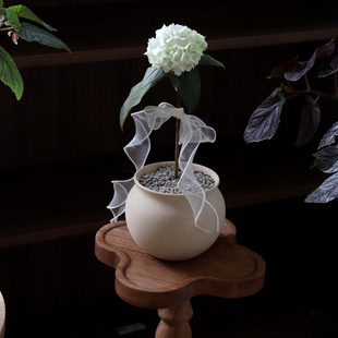 苏太植物 中华木绣球花斗球木本植物带花室内阳台花卉绿植 耐寒