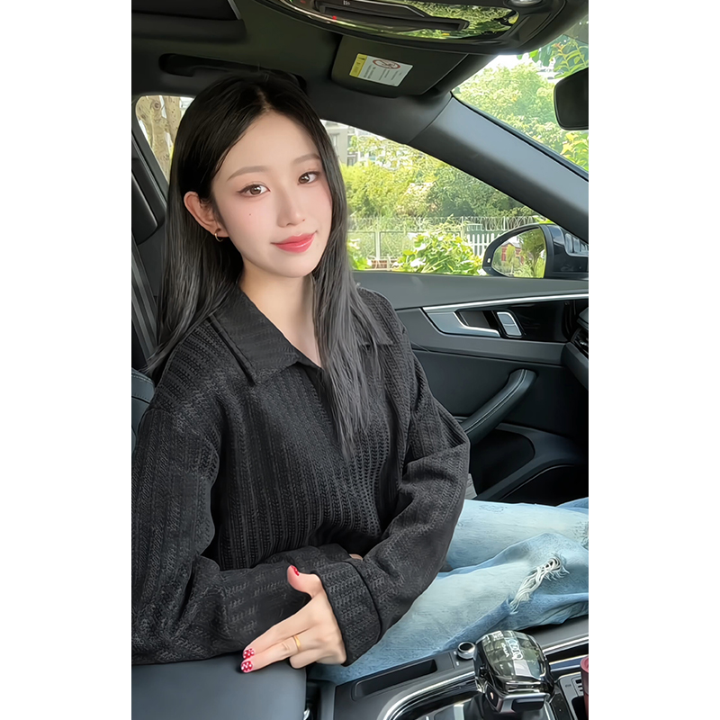 美式雪尼尔280g重磅鱼骨纹Polo领大码长袖T恤男T24553-特P25控48