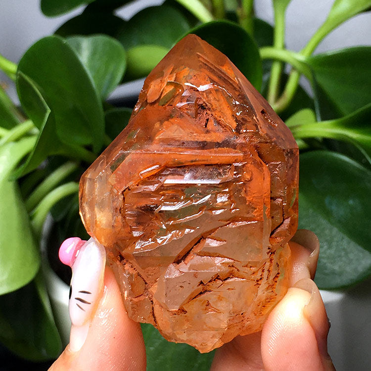 天然红泥骸骨骨干原石城堡标本