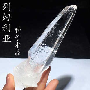 天然哥伦比亚列姆利亚白水晶柱透体镭射激光蓝针柱资料库手握摆件