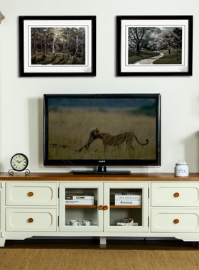 爆-美式乡村风格水性漆纯实木电视柜 艾米尼奥BL022any美乡