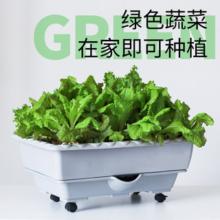 阳台种菜盆神器自动吸水种植箱花盆塑料加厚长方形室内长条带托盘