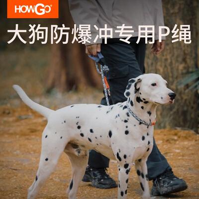 howgo狗绳防爆冲P链遛狗牵引绳防挣脱狗链子大中小型犬拴狗绳用品