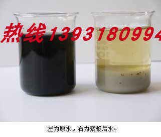 黎平垃圾渗透液DTRO养猪废水一体化污水处理设备MBBR生物反应器