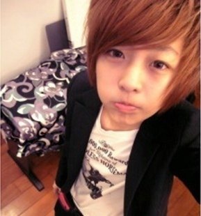 Perruque cheveux raides Court - Ref 2610079 Image 1