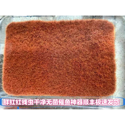 鲜活观赏鱼饲料活体中小型鱼适用