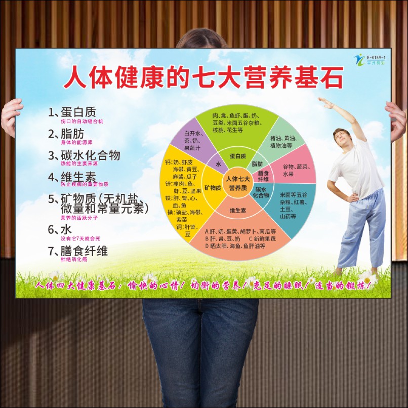 人体所需营养素示意图标墙贴中医养生七大营养医学健康常识宣传图