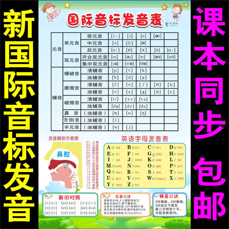 国际英语音标挂图海报小学生习26个48英文字母元音辅音宣传画墙贴