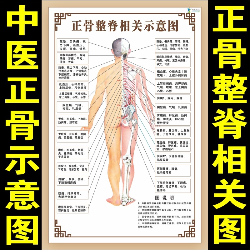 中医正骨复位整脊推拿颈椎脊椎腰椎图针灸穴位病症按摩穴位反射区