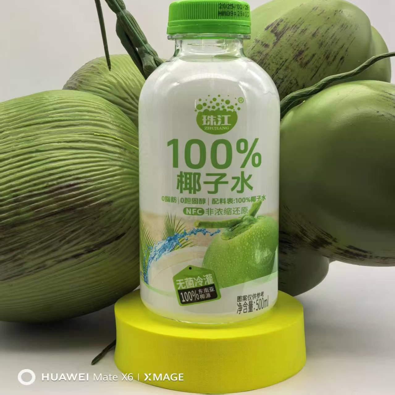 珠江椰子水500ml 100%纯天然椰子水0添加饮品生榨网红整箱饮料