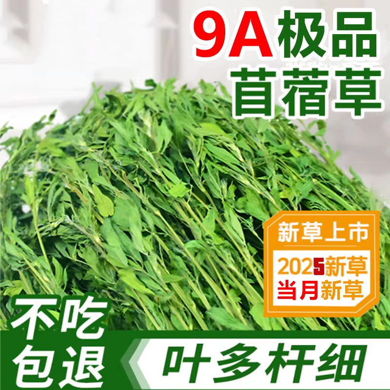 苜蓿草兔子粮草紫花干草幼兔食用豚鼠吃的粮食苜宿小麦草兔粮饲料
