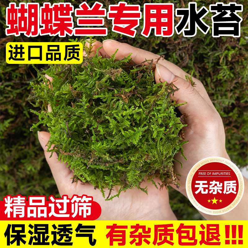 青苔水苔蝴蝶兰专用土天然干苔藓兰花营养土石斛兰植料盆栽种植土