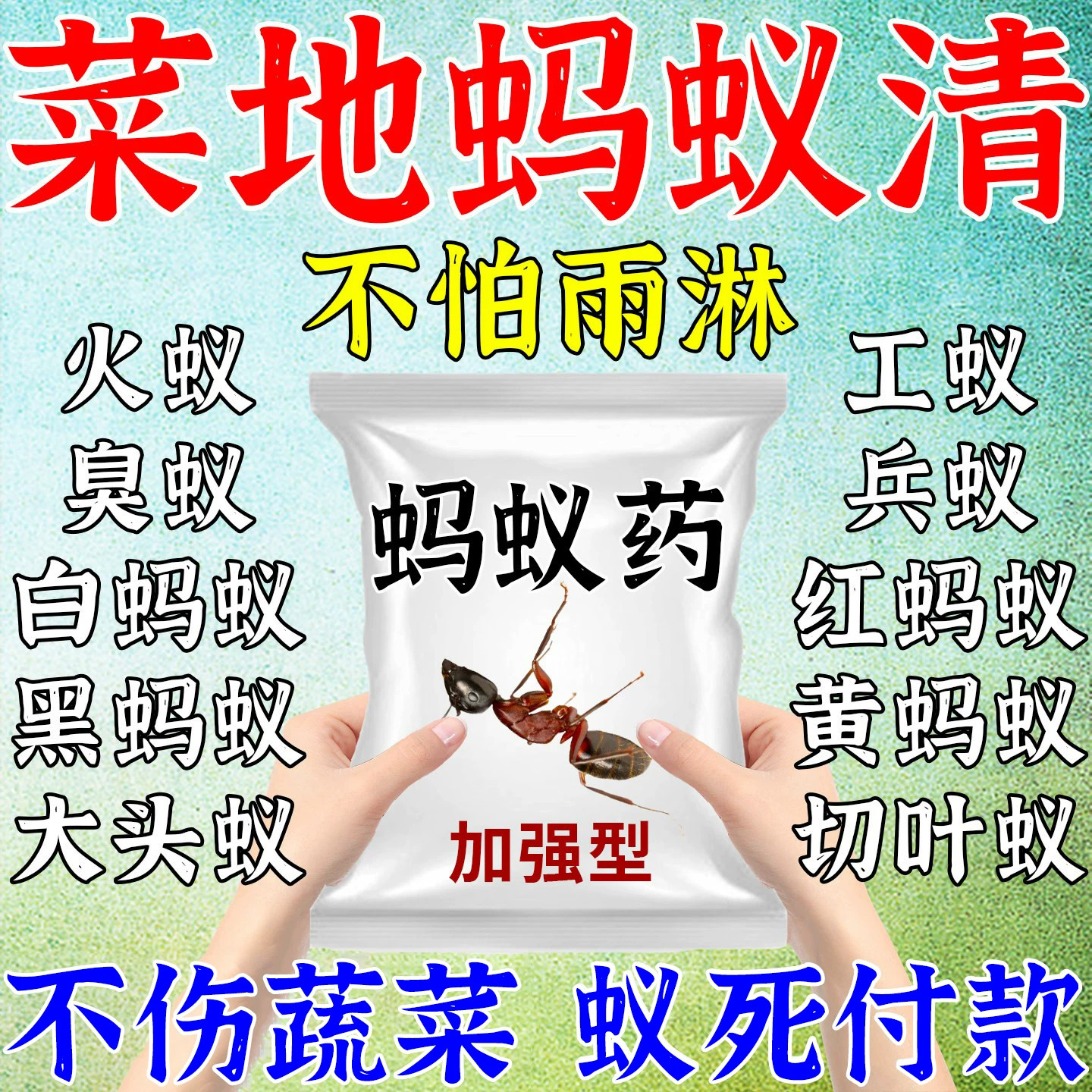 蚂蚁药农用菜地无毒一窝全端白蚁