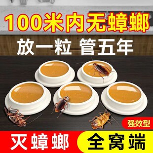 灭蟑螂药家用杀蟑胶饵剂贴屋非全窝端无毒孕妇婴儿强力神器灭杀