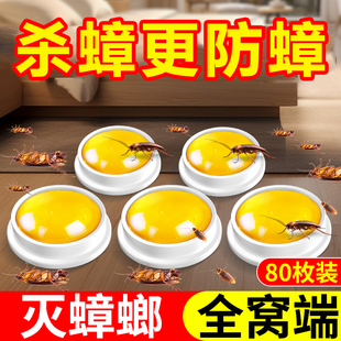 蟑螂药全窝端家用非无毒餐厅饭店杀虫小强克星神器厨房正品 旗舰店