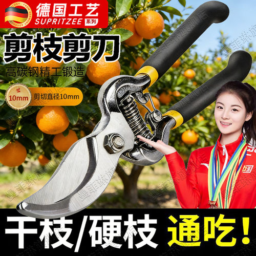 德国修剪果树剪枝专用剪刀省力