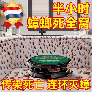 旗舰店魔盒诱饵剂一次全窝绝杀 泰国灭蟑螂药名无毒家用全窝端正品