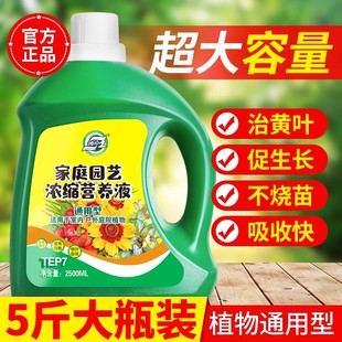 营养液植物通用型绿萝富贵竹发财树多肉水培养花卉绿植盆栽花肥料