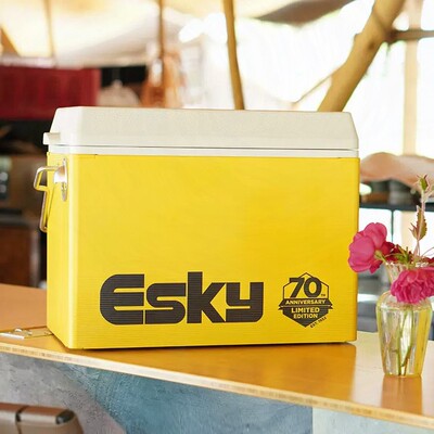 esky复古纪念版27L保温箱户外车载便携露营冷饮野餐保鲜箱冷藏箱