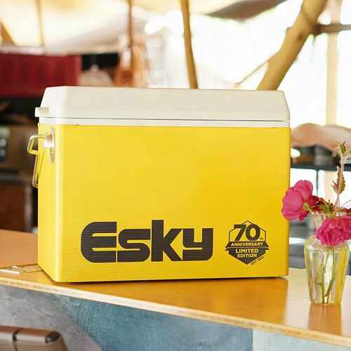 esky复古纪念版27L保温箱户外车载便携露营冷饮野餐保鲜箱冷藏箱