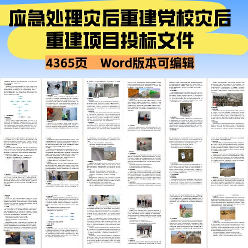应急处理灾后重建党校灾后重建项目投标文件