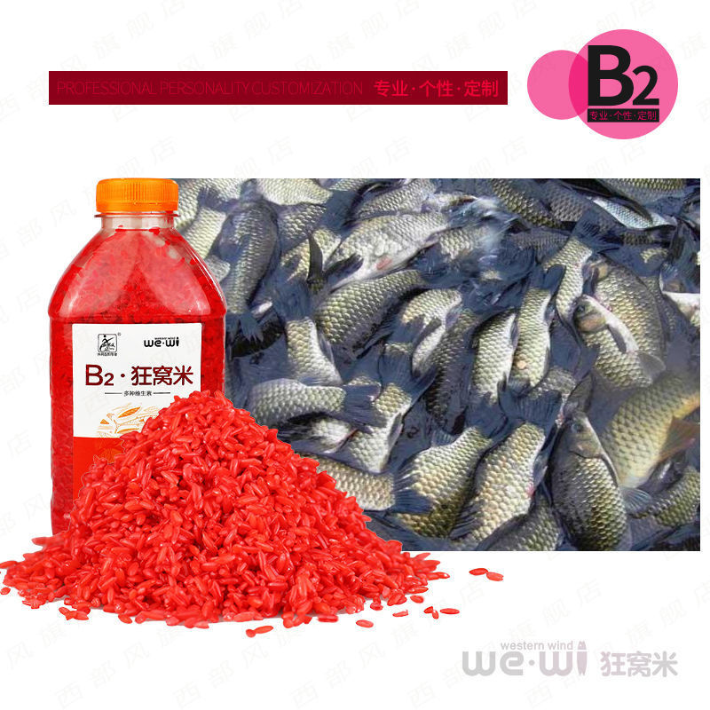 B2系列狂窝米钓鱼酒米打窝米野钓湖泊江河底窝料饵料