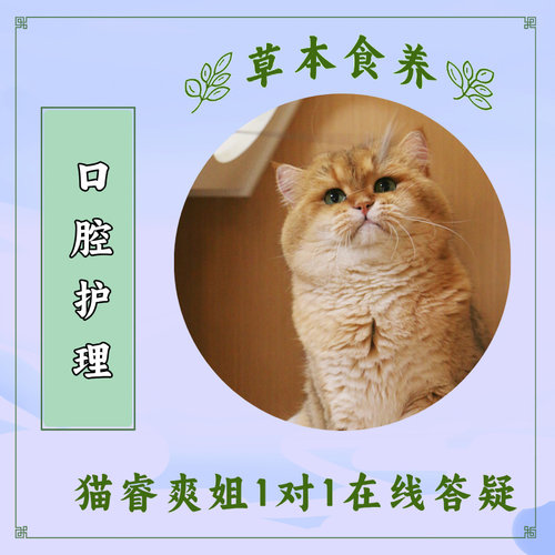 猫睿爽姐自制 草本食养粉 猫狗口炎牙龈红肿烂嘴流口水口臭牙龈炎