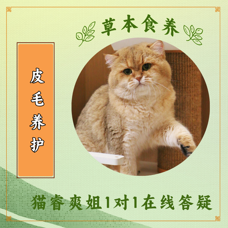 猫睿爽姐自制 草本食养 猫藓红疹真菌 猫咪皮肤病 犬猫通用